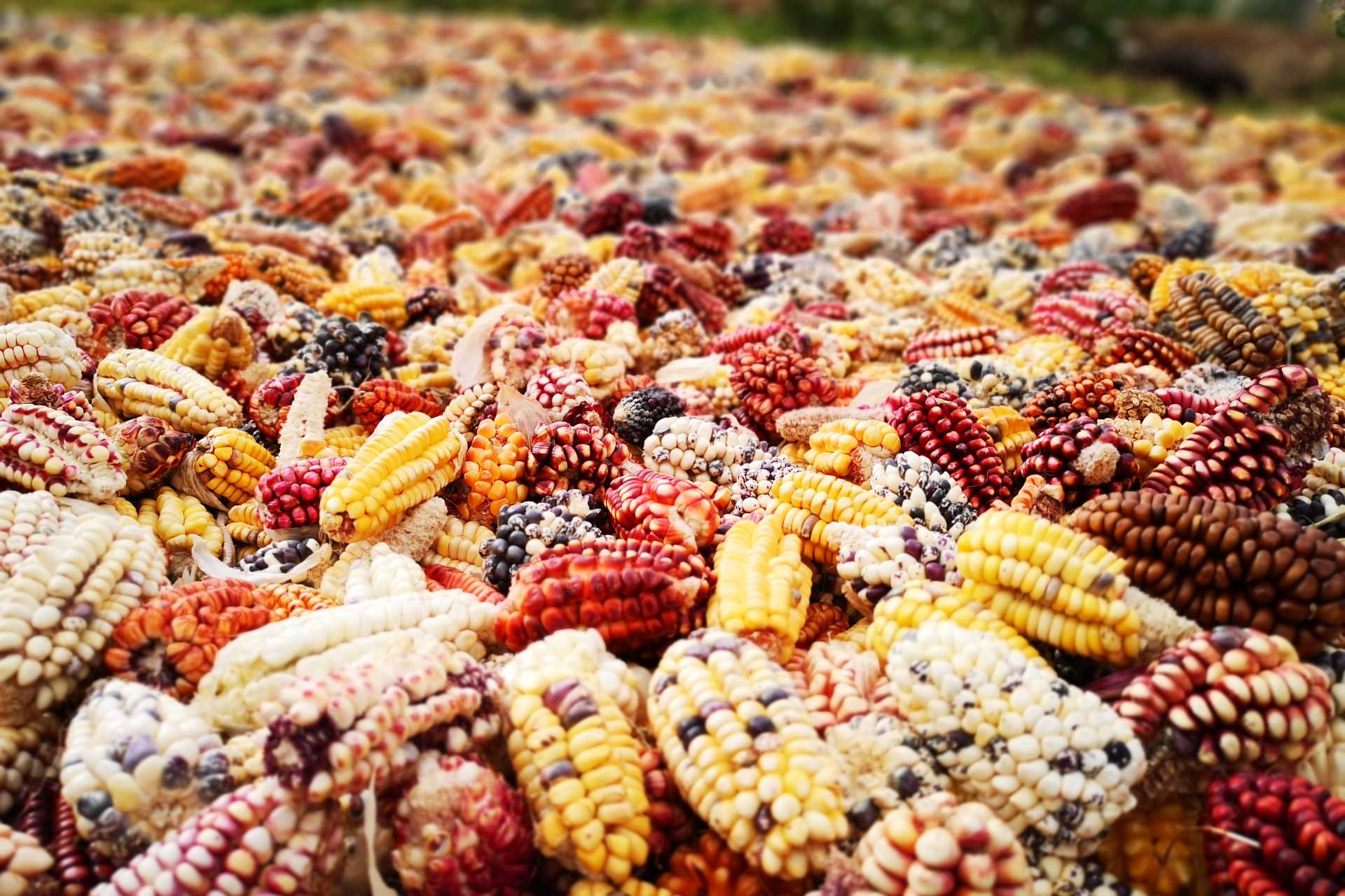 Å»yj zdrowo, jedz zdrowo.