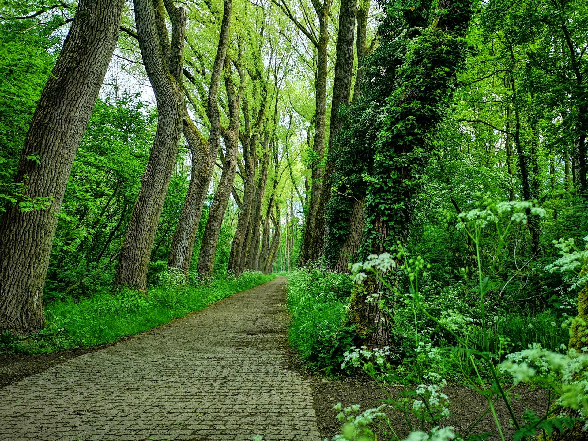 Siła poranka, czyli recepta na piękny początek dnia.
