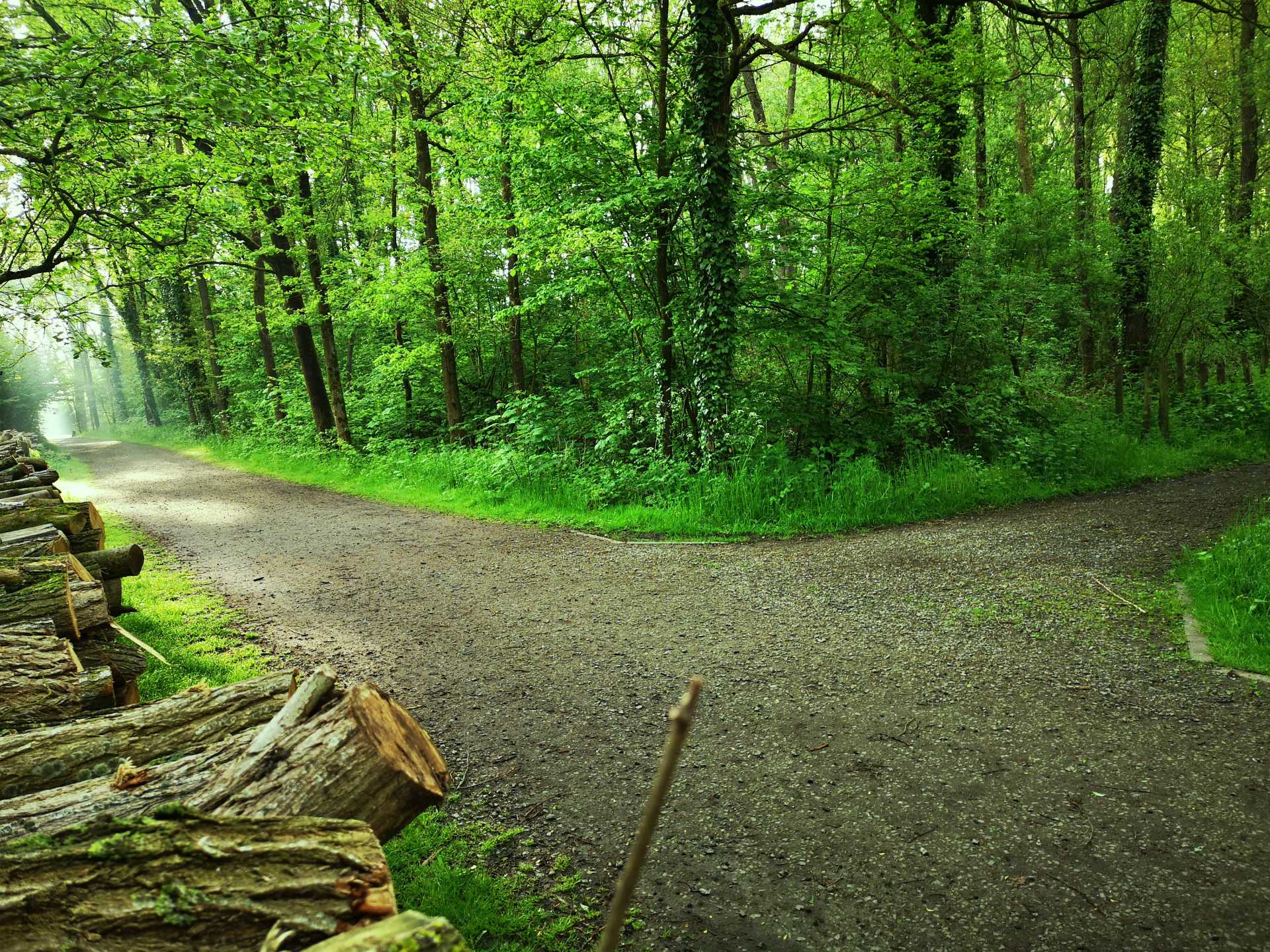 Dlaczego samo wyznaczanie celÃ³w nie dziaÅ‚a?